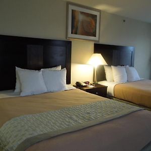 Queen Room Two Queen Beds